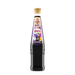 Ribena Blackcurrant Squash 600ml PMP Â£1.50